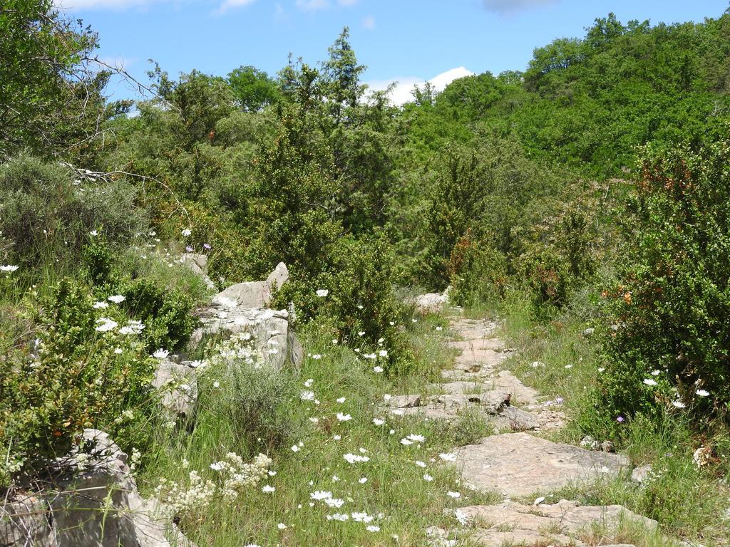 Rosières La Nichoule 빌라 외부 사진